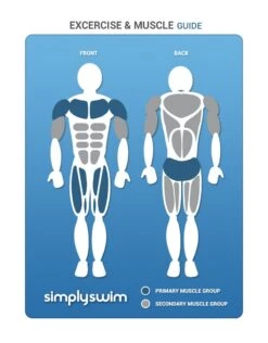 BeCo Betomic -Swimming Equipment Store Exercise MuscleGuide 76479f93 6bee 422b a534 cce33666fae6