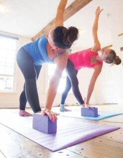 Fitness-Mad Hi-Density Yoga Brick -Swimming Equipment Store Hi DensityYogaBrick 5