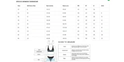 Speedo Crystallux Printed Swimsuit - Black/Blue -Swimming Equipment Store SpeedoWomensSizeGuide 3 c3b8a517 022a 4072 968b b9a783bdac34