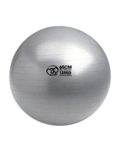 Fitness-Mad Anti-Burst 125kg Swiss Ball And Pump